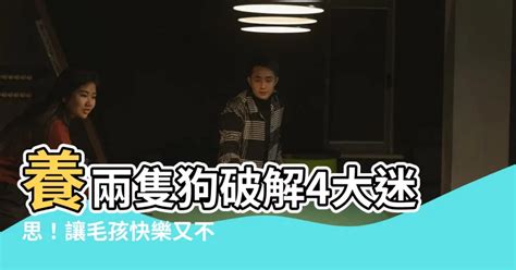 為什麼家裡不能養兩隻狗|如何讓老狗接受新狗？養第二隻狗該注意的事